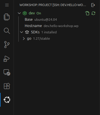 The Workshops view with the dev row expanded, listing Base, Hostname, and SDKs with the go SDK